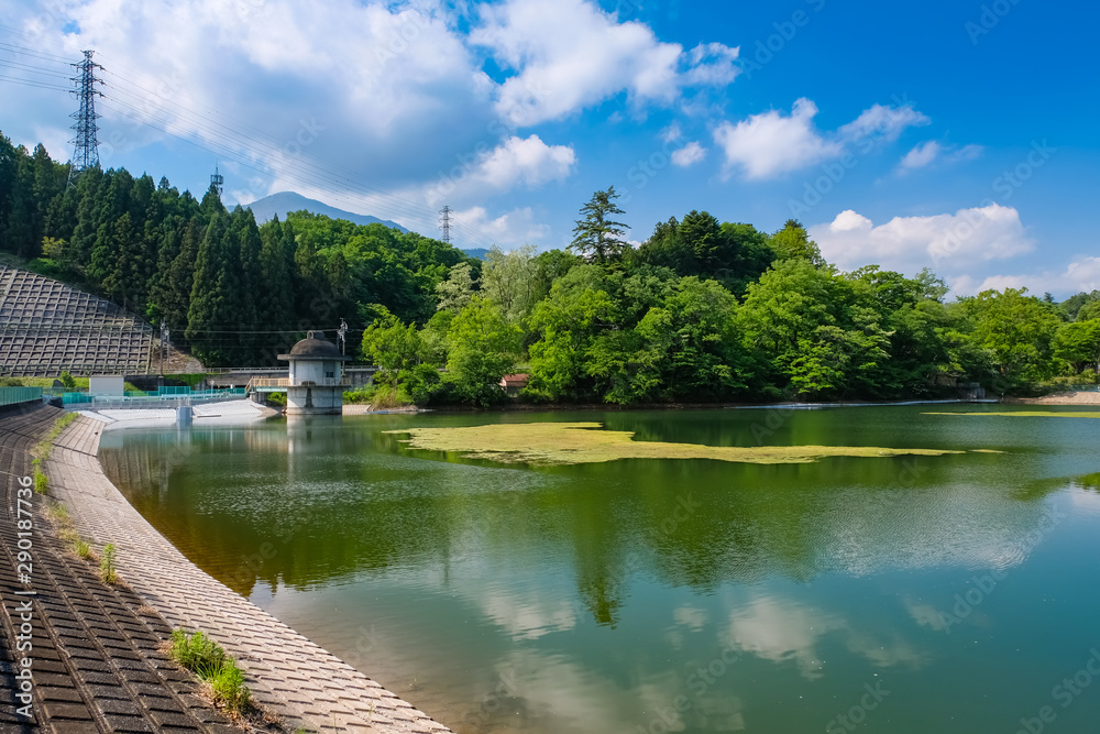 Fototapeta premium 秩父 横瀬町 姿の池