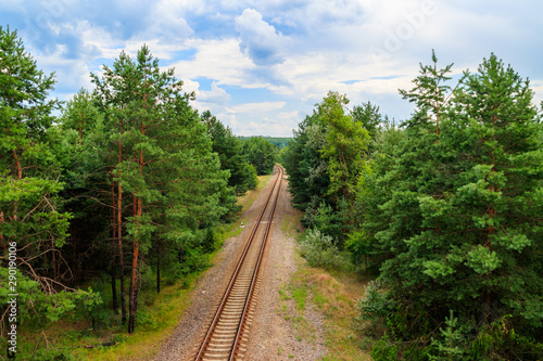 Aerial view of railroad track through a green pine forest