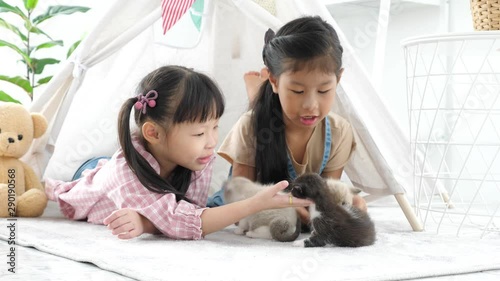 Two little girl lying on the floor and playing with little kitten.