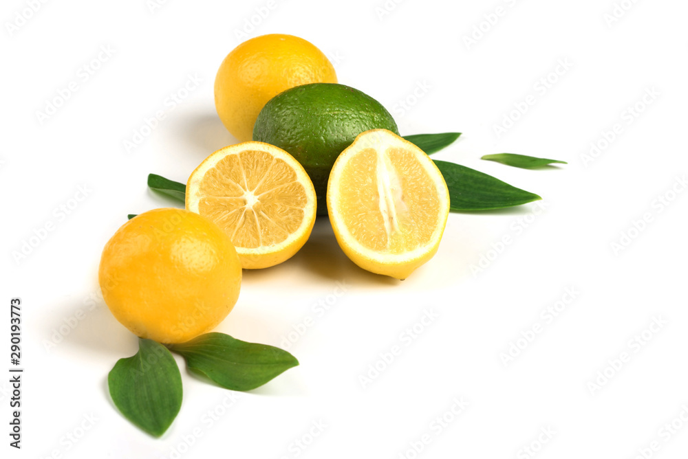 Ripe lemon and lime with green leaves in white background