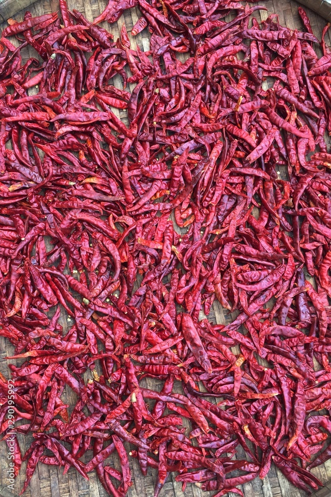 dried red peppers dried red peppers
