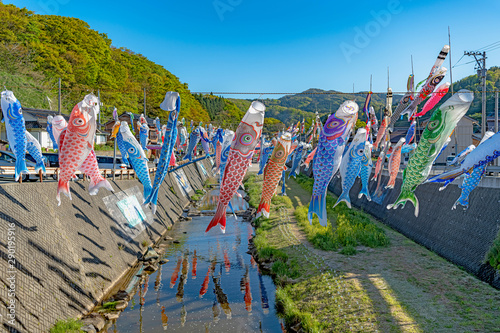 珠洲市 大谷川鯉のぼりフェスティバル © mtaira