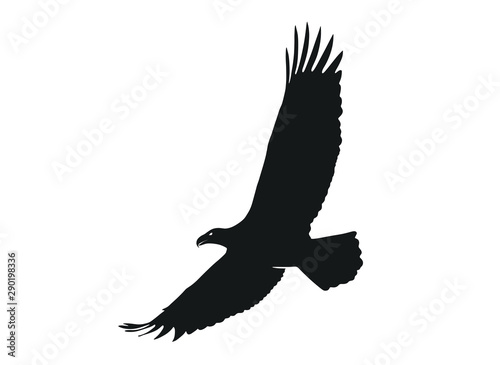 eagle in flight with wide wingspan. isolated vector silhouette image of bird
