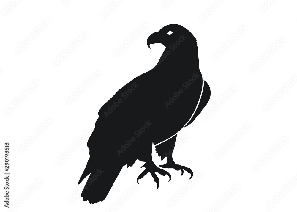 Fototapeta premium sitting eagle. isolated vector image of bird of prey in simple style