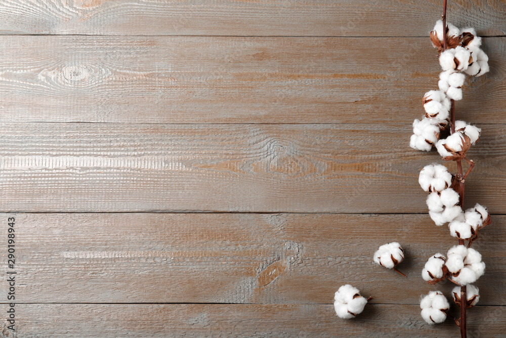 Flat lay composition with cotton flowers on wooden background. Space for text Flat lay composition with cotton flowers on wooden background. Space for text