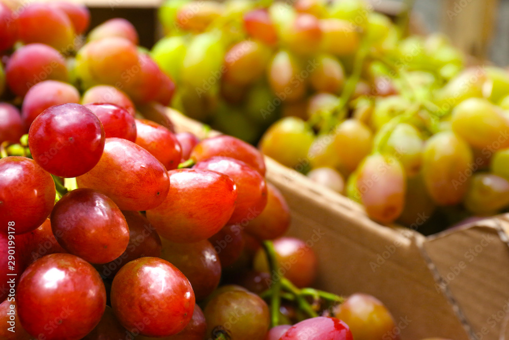 Fresh ripe juicy grapes as background, closeup view Fresh ripe juicy grapes as background, closeup view