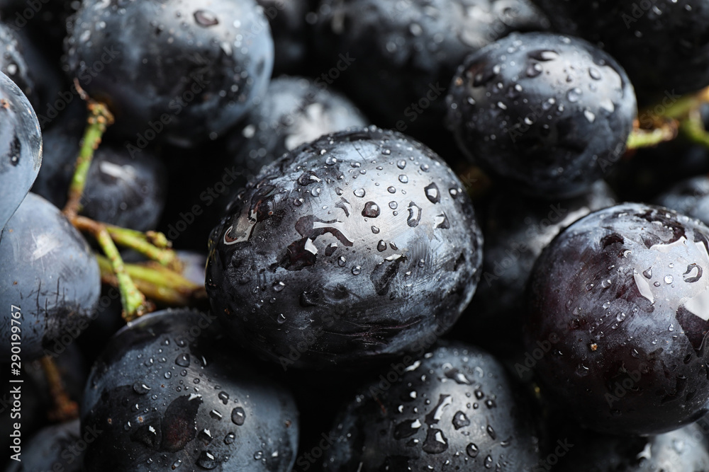 Fresh ripe juicy black grapes as background, closeup view Fresh ripe juicy black grapes as background, closeup view