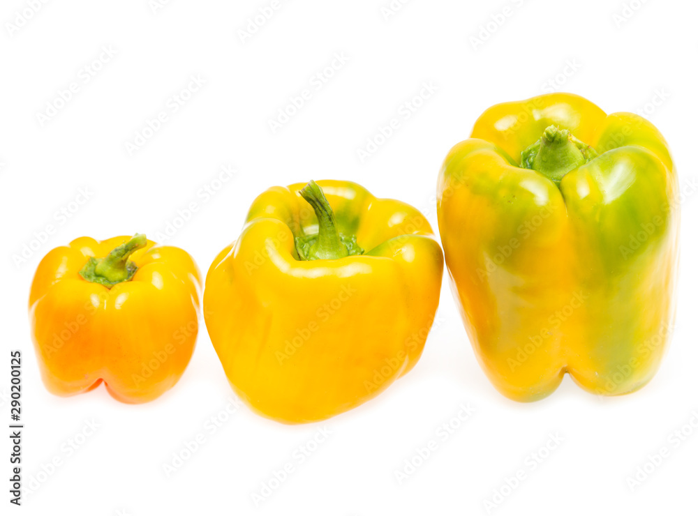 yellow and red bell peppers on a white background yellow and red bell peppers on a white background