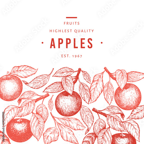 Apple branch design template. Hand drawn vector garden fruit illustration. Engraved style fruit frame. Retro botanical banner.