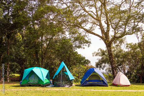 Various kinds of tents. Camping under forest a beautiful natural place with trees and green grass. 