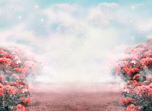 Valokuva Fantasy summer photo background with roses flowers field and misty path leading to fairytale glade