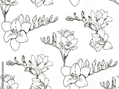 Seamless floral decorative pattern with black and white Freesia flowers on white background. Endless spring texture for your design, fabrics, decor, print, coloring book