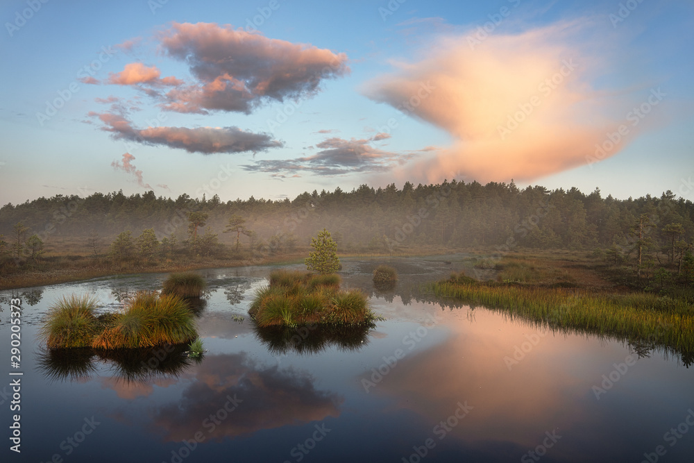Misty morning in the bog Misty morning in the bog
