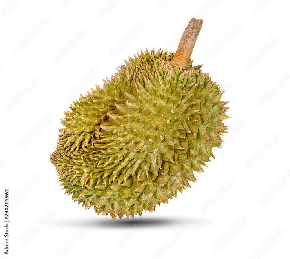 Durian fruit isolated on white background. Durian fruit isolated on white background.