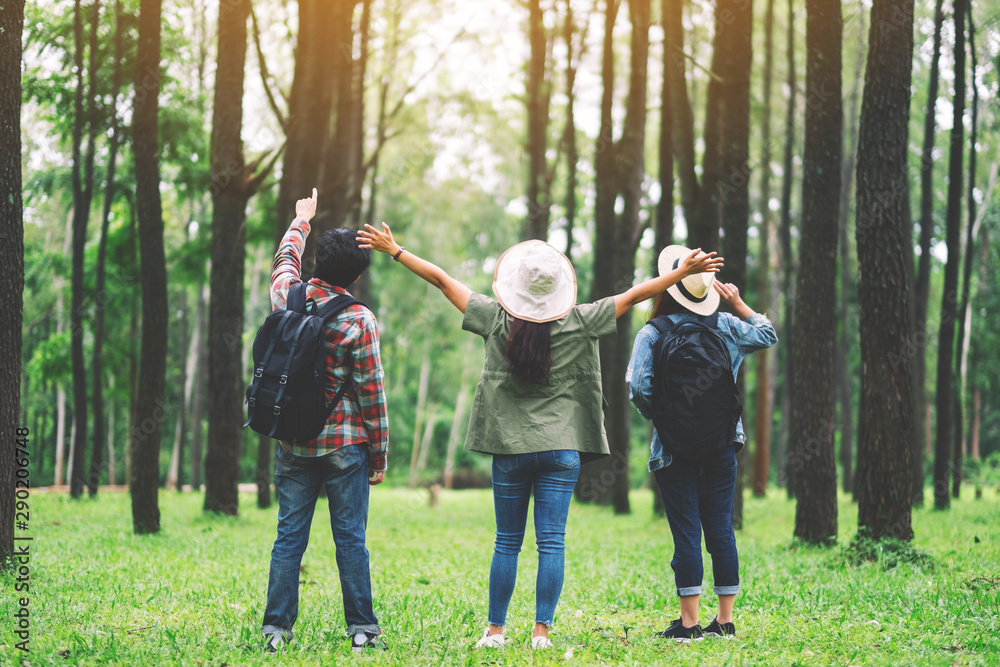 Fototapeta premium A group of traveler with backpack standing back and looking into a beautiful pine woods