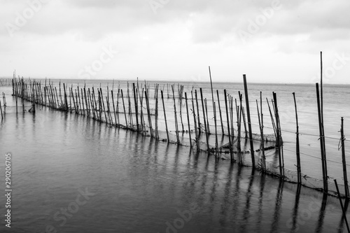 Paseando por el embarcadero de la Albufera de Valencia