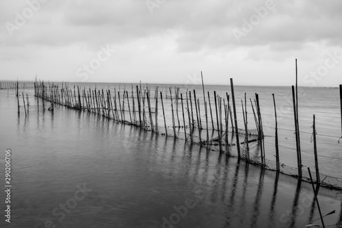 Paseando por el embarcadero de la Albufera de Valencia
