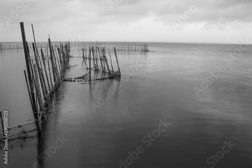 Paseando por el embarcadero de la Albufera de Valencia