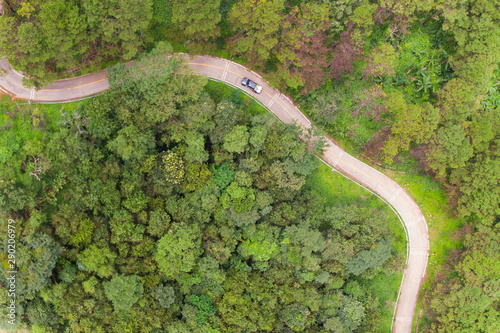 Fototapeta Naklejka Na Ścianę i Meble -  Aerial view of winding road with pine tree forest in mountain.Scenery Bird eye view of asphalt road landscape.High view from drone save drive transport and journey in countryside concept