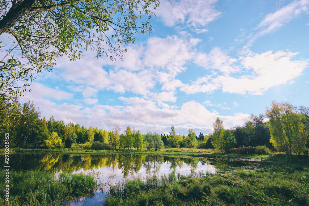 Fototapeta premium Colors of fall. Beautiful autumn landscape with forest and lake.