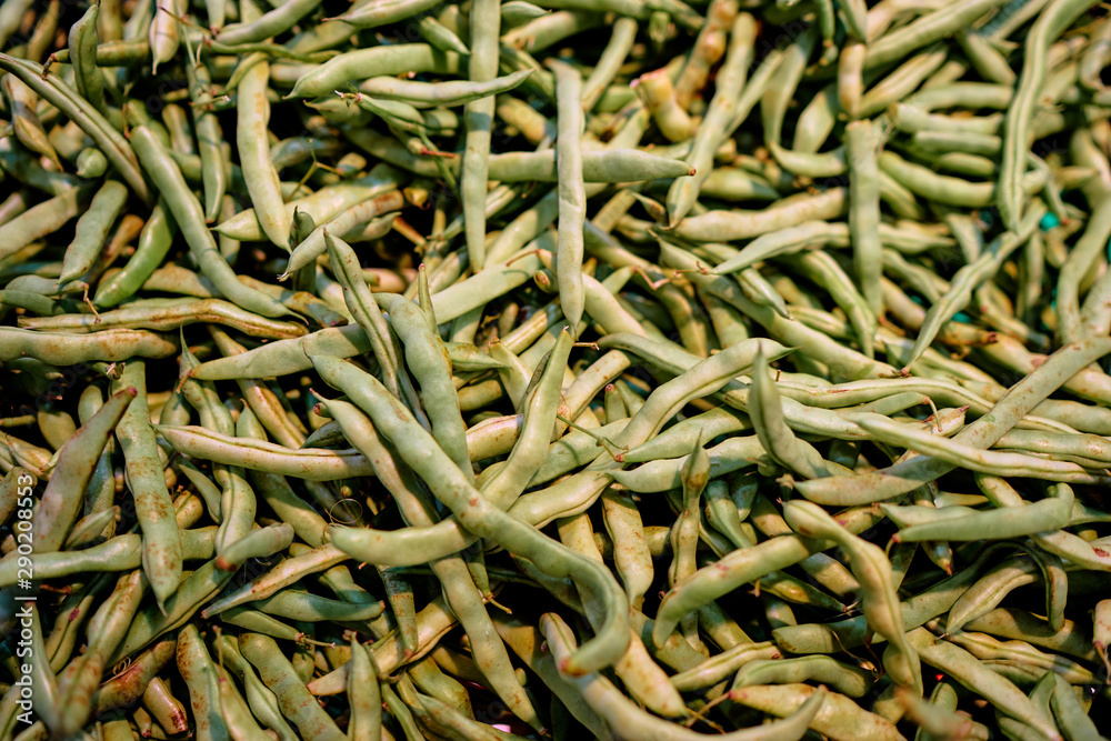 Green asparagus beans. Textured background. Green asparagus beans. Textured background.