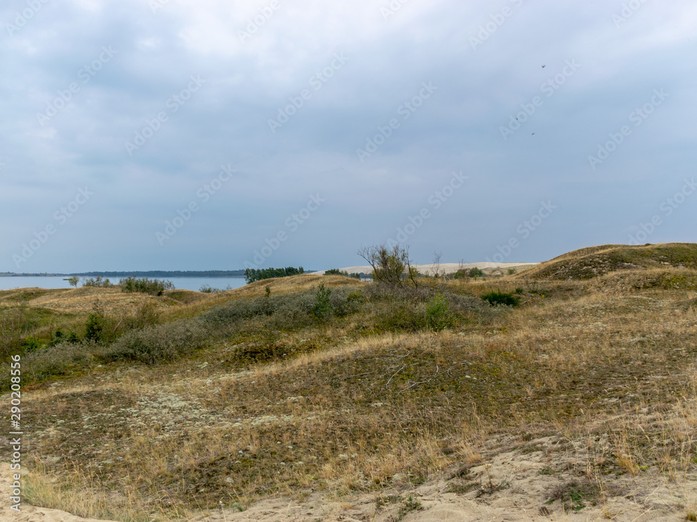 white dune sand, scanty plants, sand textures, beautiful blue skieslandscape with sand dune shore, Curonian Spit, Nida ,Lithuania.  Baltic dunes, UNESCO heritage