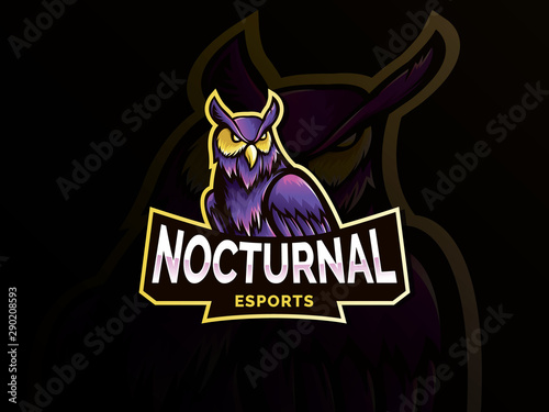 Nocturnal bird owl mascot logo design. Owl mascot design vector with modern illustration concept. Angry owl illustration for sport team. Owl mascot esport logo design. Esport gaming mascot logo design