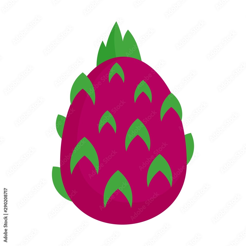 Pitaya fruit icon. Flat illustration of pitaya fruit vector icon for web design Pitaya fruit icon. Flat illustration of pitaya fruit vector icon for web design