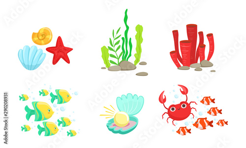 Underwater World Elements Set  Tropical Fishes  Algae  Corals  Crabs  Sea Shell Vector Illustration