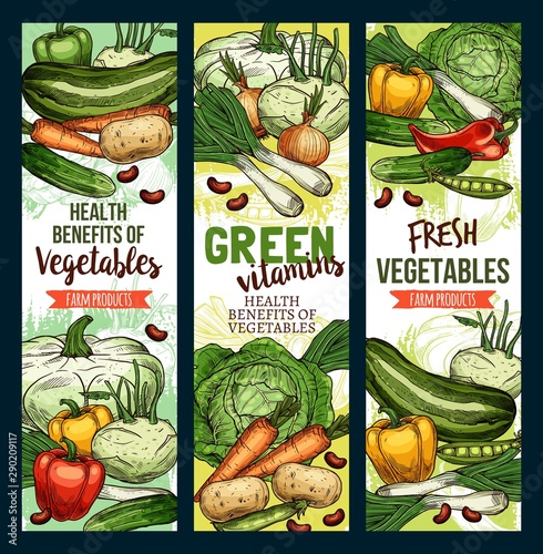 Healthy green food vitamins, farm vegetables