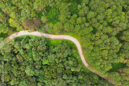 Aerial view of winding road with pine tree forest in mountain.Scenery Bird eye view of asphalt road landscape.High view from drone save drive transport and journey in countryside concept