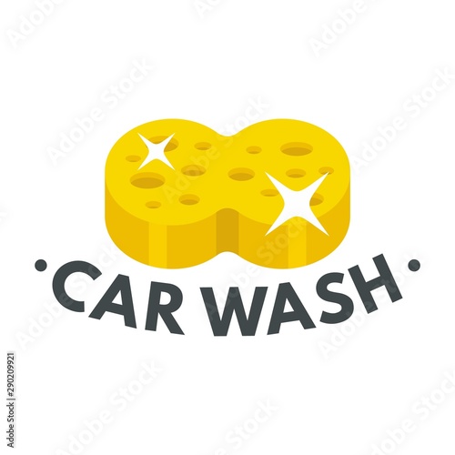 Sponge car wash logo. Flat illustration of sponge car wash vector logo for web design