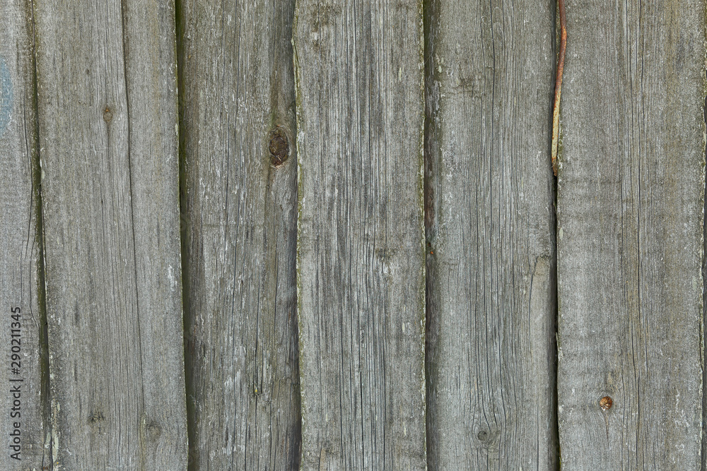 Naklejka premium Old wooden boards with beautiful texture and knots as background