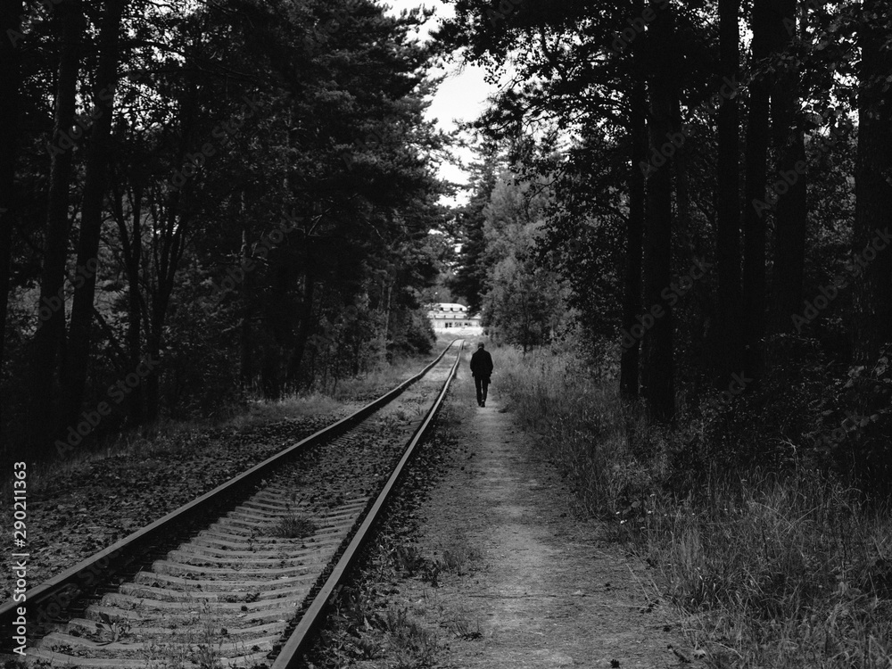 Fototapeta premium railway in the forest