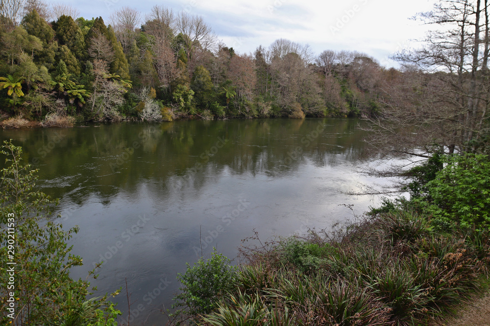 the Waikato River in Hamilton