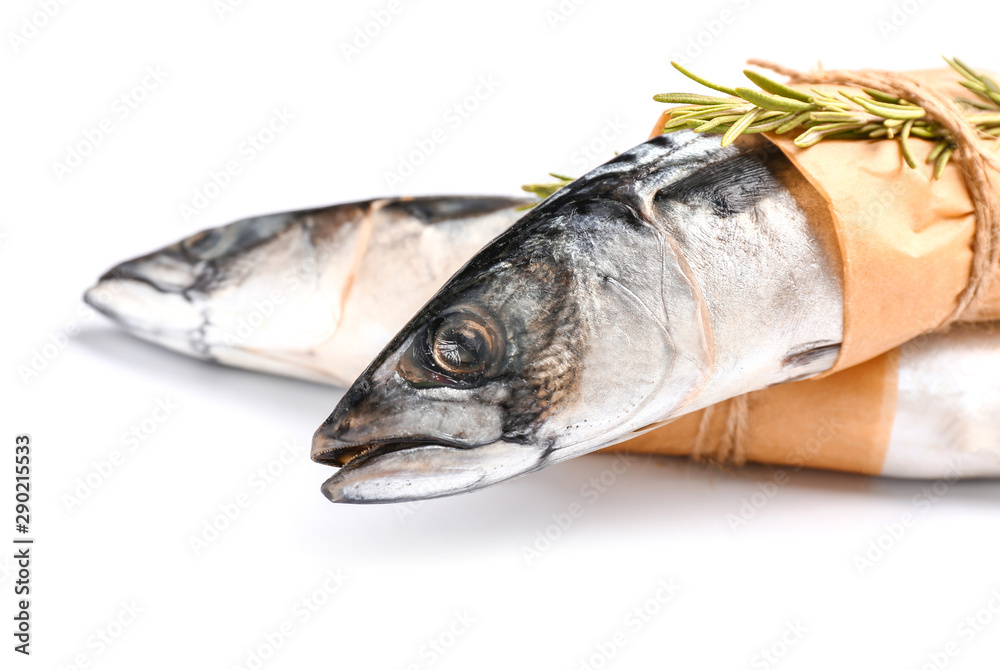 Raw mackerel fish with rosemary on white background Raw mackerel fish with rosemary on white background