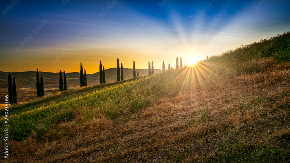 A breathtaking low angle shot of the sunrise in the bright blue sky behind a hill and cypress trees with bright sun rays in Tuscany