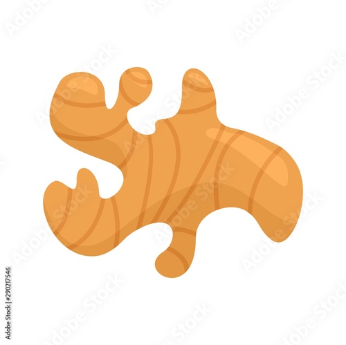 Ginger icon. Flat illustration of ginger vector icon for web design