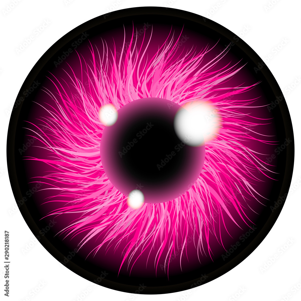 Pink Eyes illustration Contact Lens. isolated on transparent background .  Eyes art. Woman eye. The eye logo. Eyes art. Human eye, eye close up Stock  Illustration | Adobe Stock