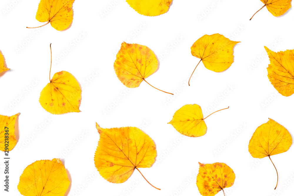 Obraz premium Autumn pattern made of yellow leaves on white background. Flat lay, top view.