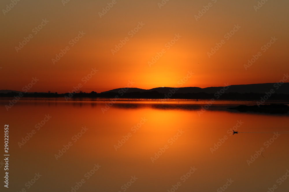 sunset on the ponds