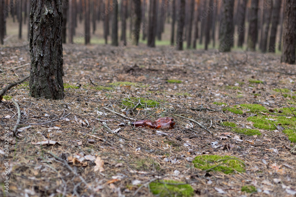 Brown plastic bottle on the ground in a pine forest. Brown plastic bottle on the ground in a pine forest.