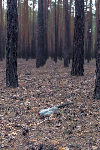 White plastic bottle on the ground in a pine forest.