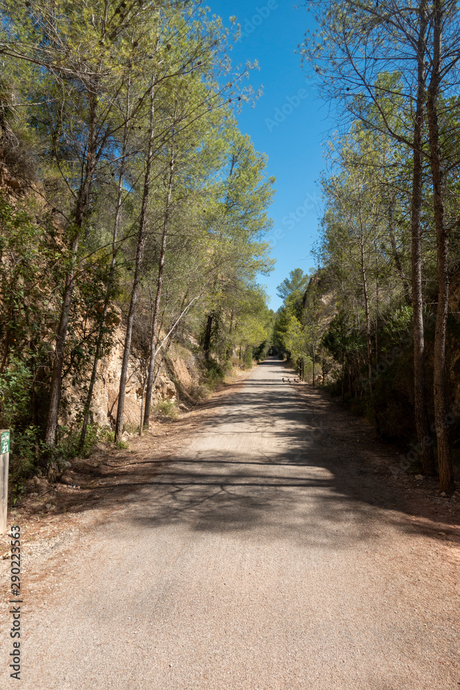 Fototapeta premium Road of the ebro greenway in Tarragona