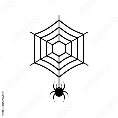 Spider web icon on a white background.