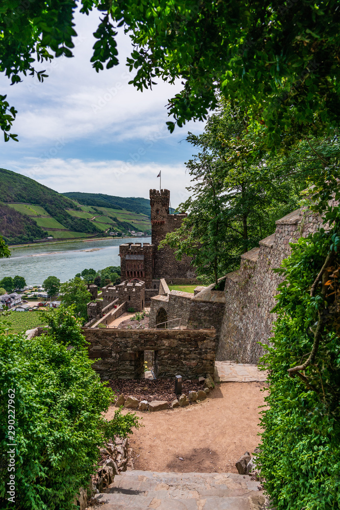 View of Reichenstein Castle on Rhine river