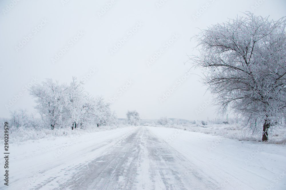 Dirt road in the forest in winter