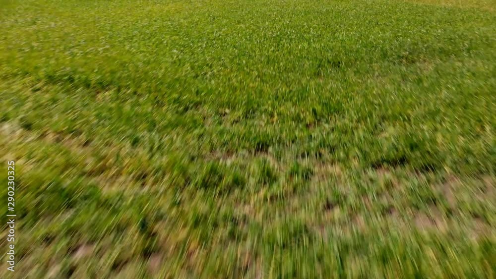 rising up a drone in an open field rising up a drone in an open field