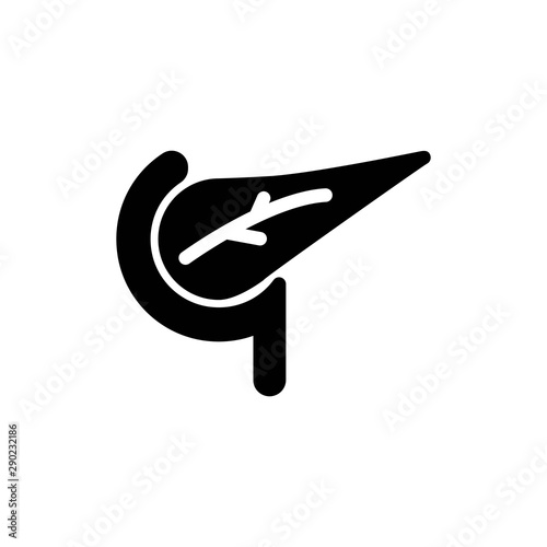 pancreas solid icon