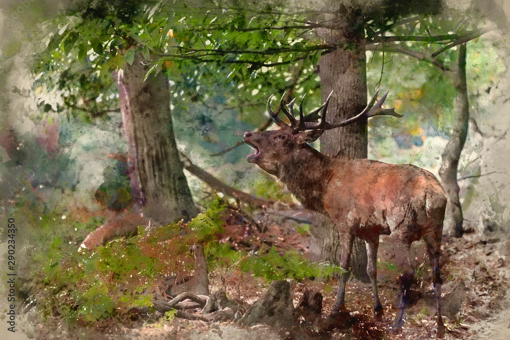 Obraz Digital watercolor painting of Majestic powerful red deer stag Cervus Elaphus in forest landscape during rut season in Autumn Fall